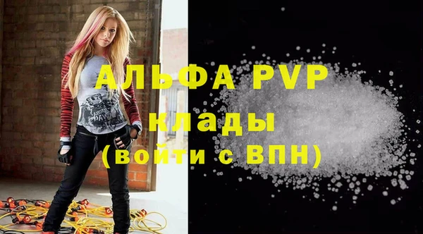 молекула духа Алексин