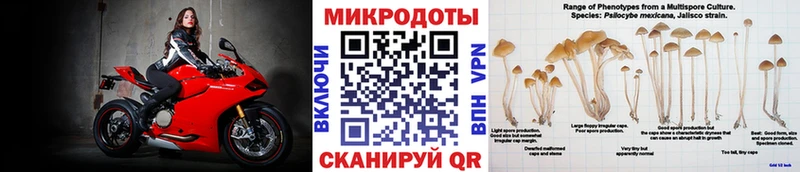 Псилоцибиновые грибы мухоморы Скопин