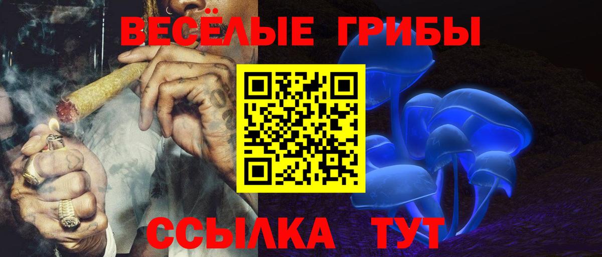 Скопин  Псилоцибиновые грибы GOLDEN TEACHER  дарнет шоп  Вход с VPN 