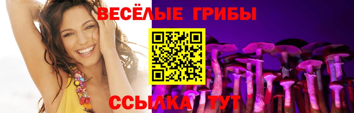 Псилоцибиновые грибы Magic Shrooms Скопин